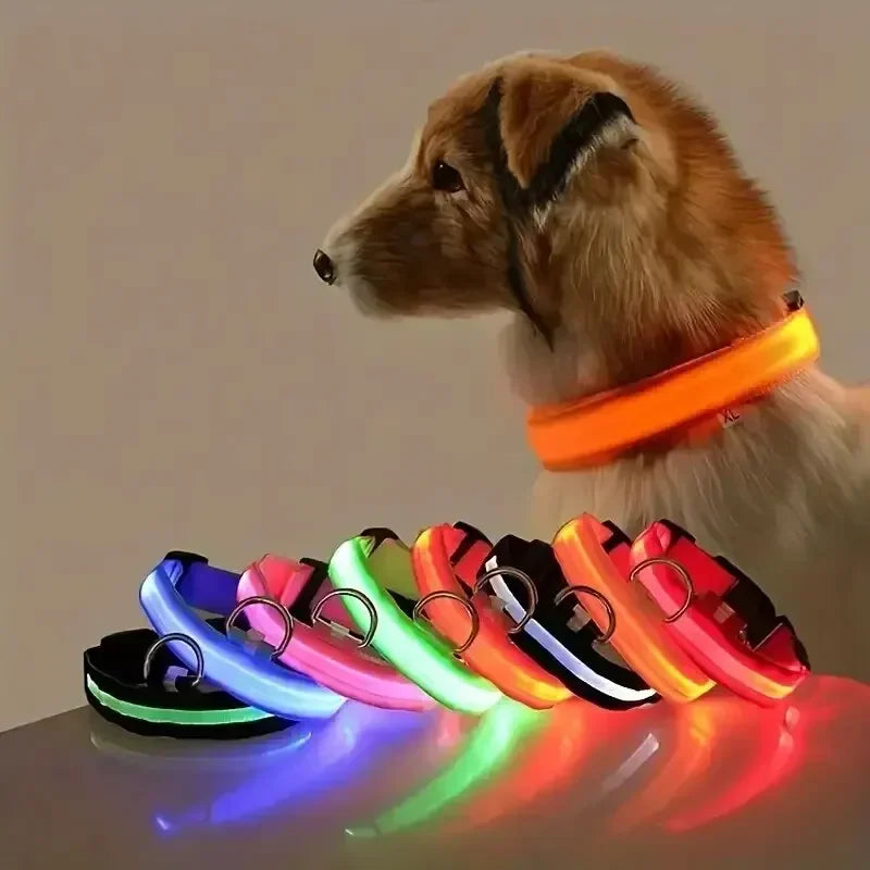GlowPup LED Collar