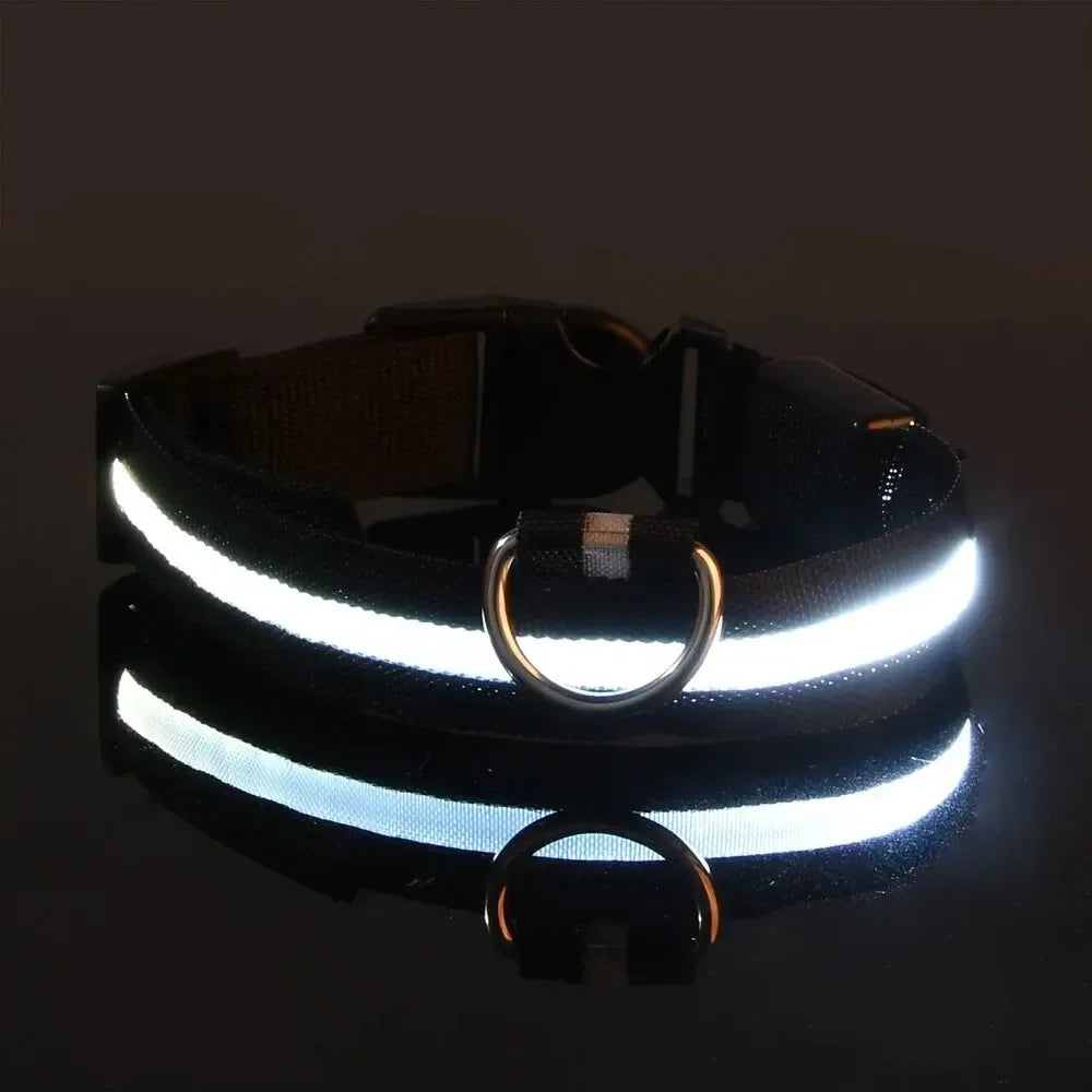 GlowPup LED Collar