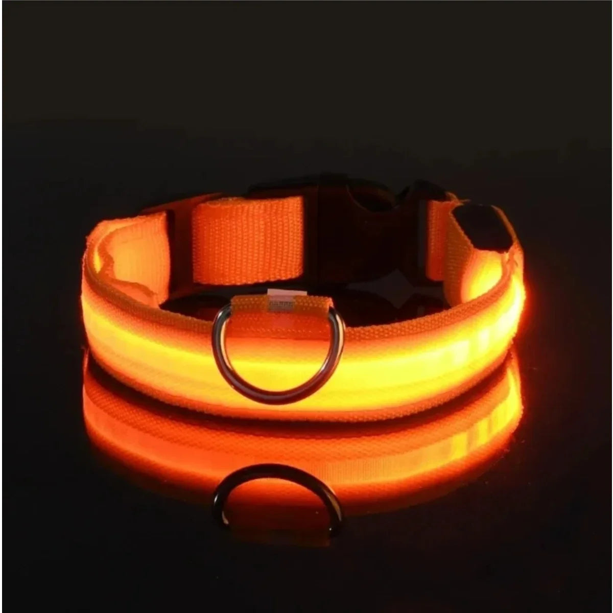 GlowPup LED Collar