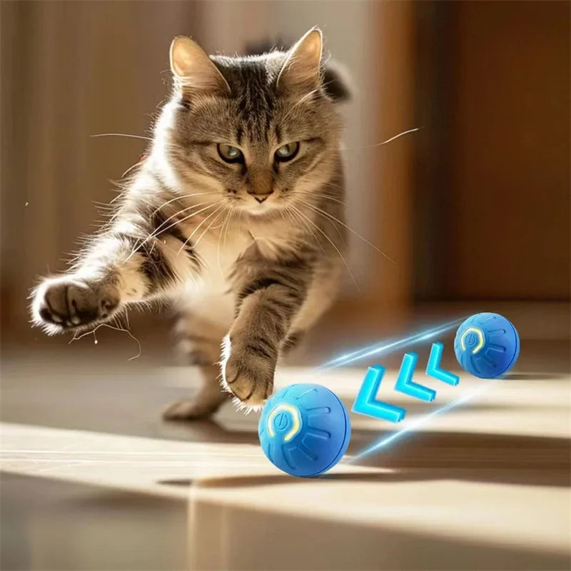 Smart Interactive Pet Ball – USB Rechargeable
