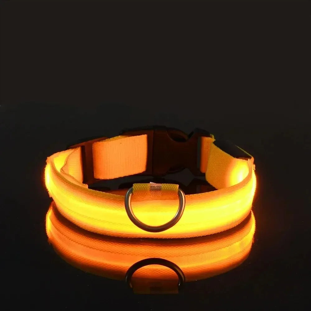 GlowPup LED Collar