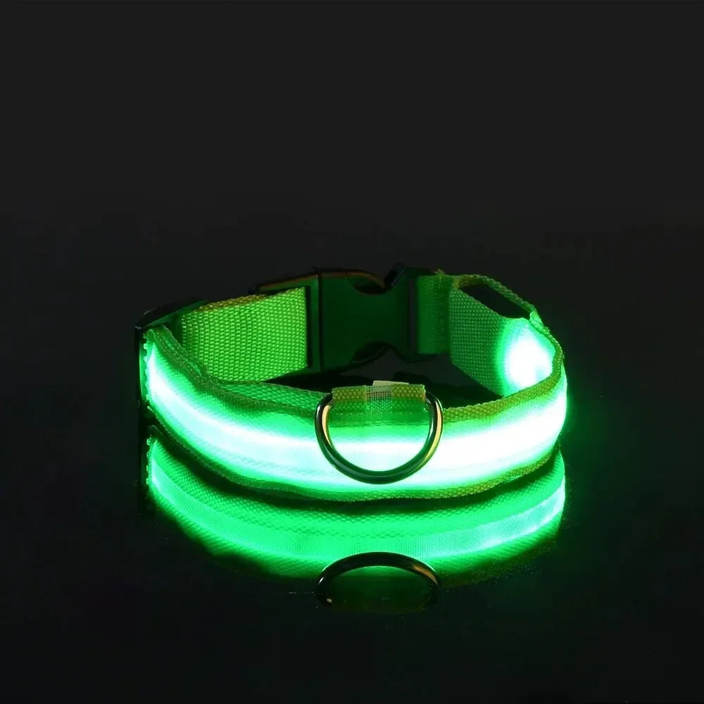 GlowPup LED Collar