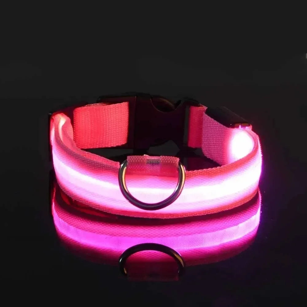 GlowPup LED Collar