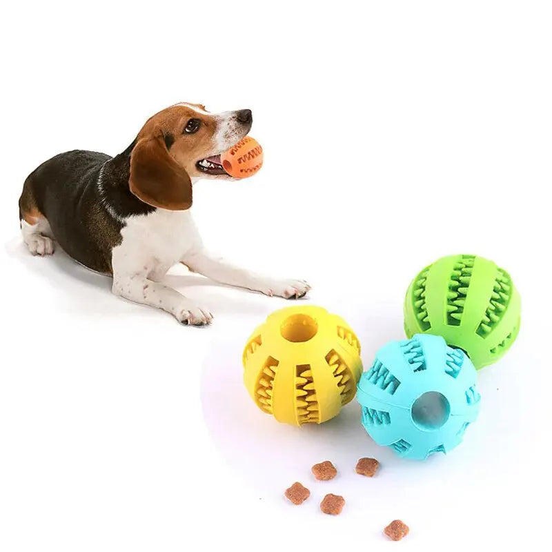 Dog & Cat Chew Toy Ball – Bite Resistant