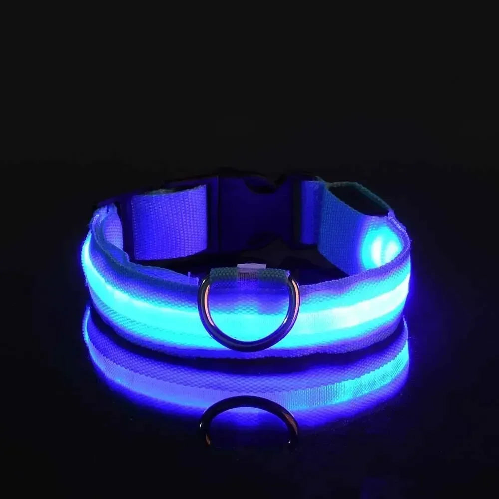GlowPup LED Collar