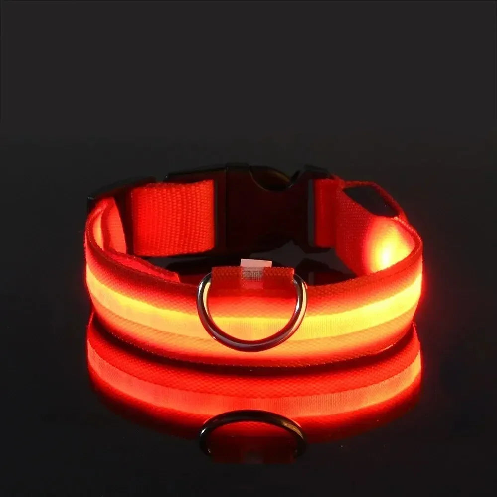 GlowPup LED Collar